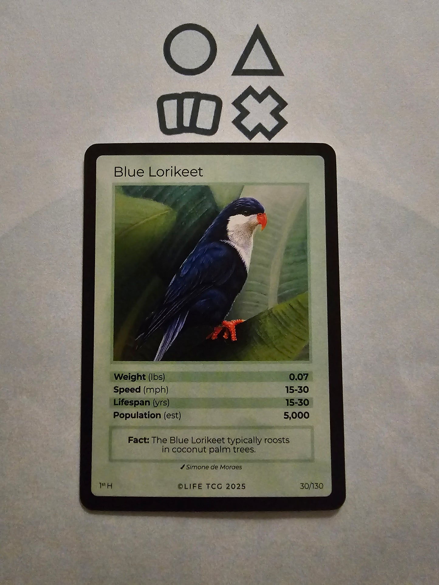 Life TCG Blue Lorikeet Holo - NM (30 Birds - POP 5.000)