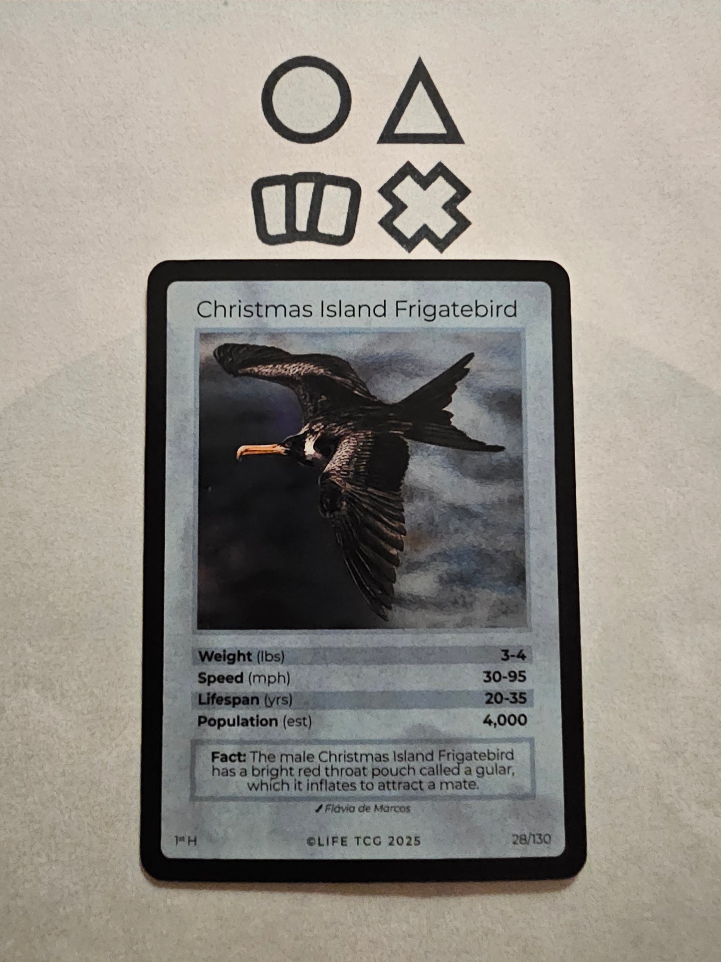 Life TCG Christmas Island Frgatebird Holo - NM (28 Birds - POP 4000)