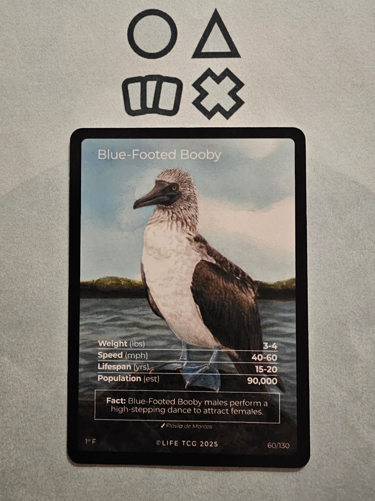 Life TCG Blue-Footed Booby Full Art - NM (60 Birds - POP 90.000)