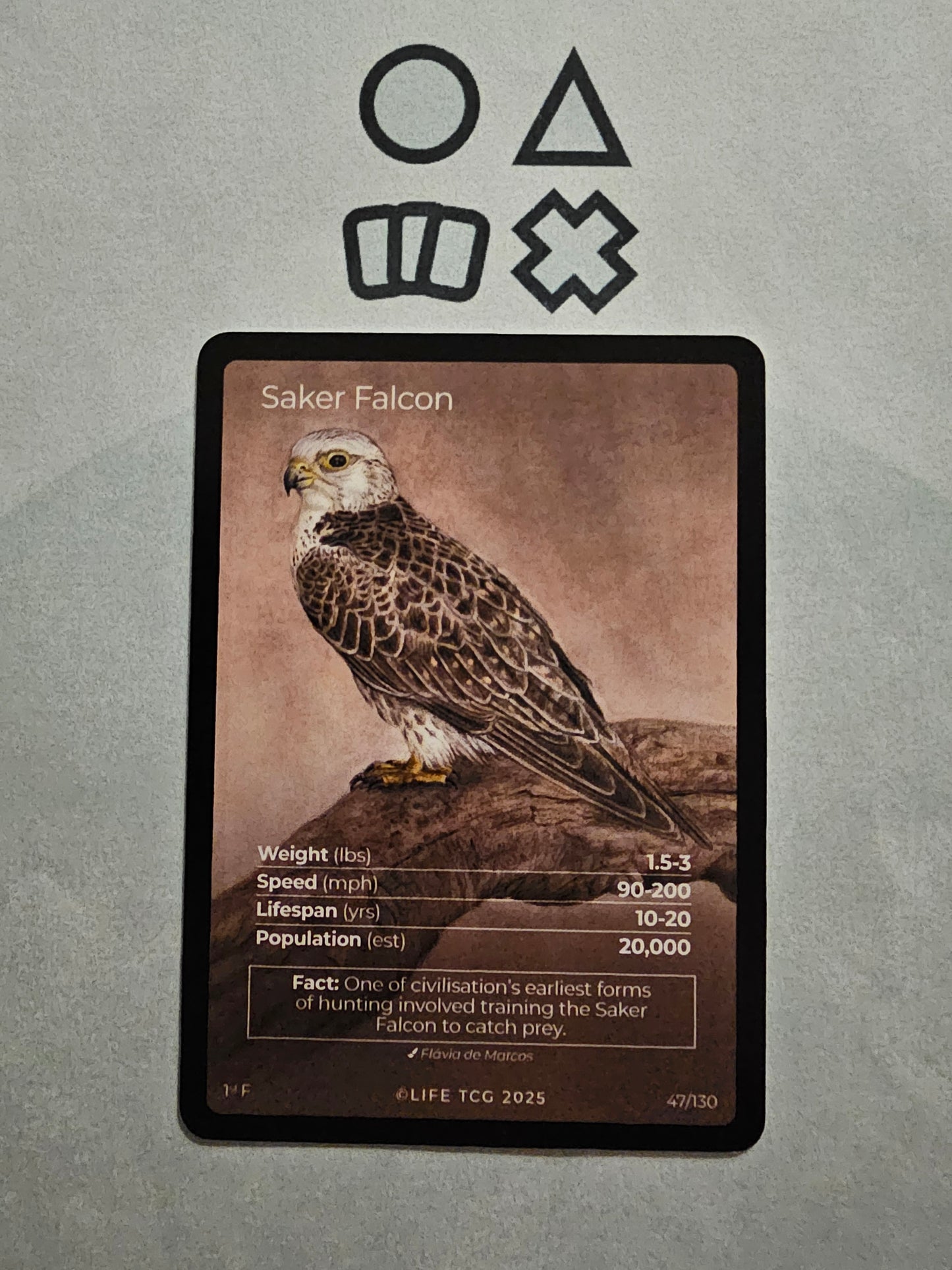 Life TCG Saker Falcon Art - NM (47 Birds - POP 20.000)