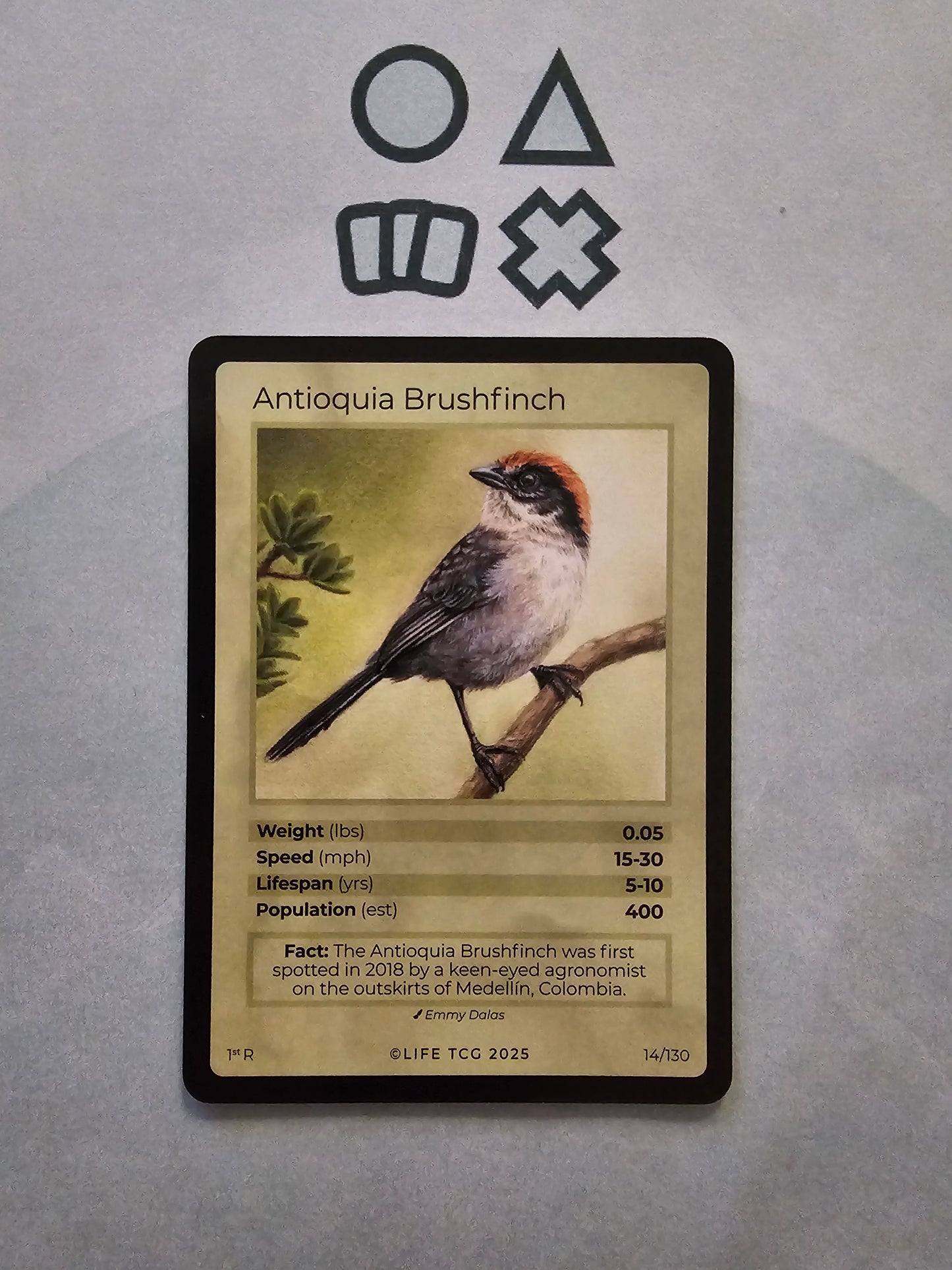 Life TCG Antioquia Brushfinch Rare - NM (14 Birds - POP 400)