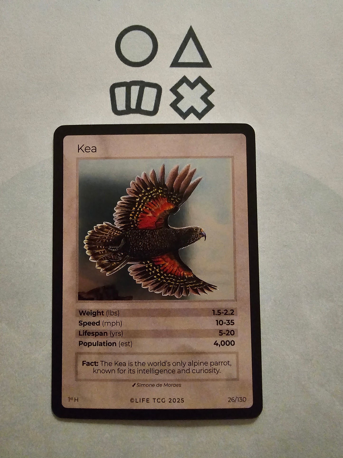 Life TCG Kea Holo  - NM (26 Birds - POP 4.000)