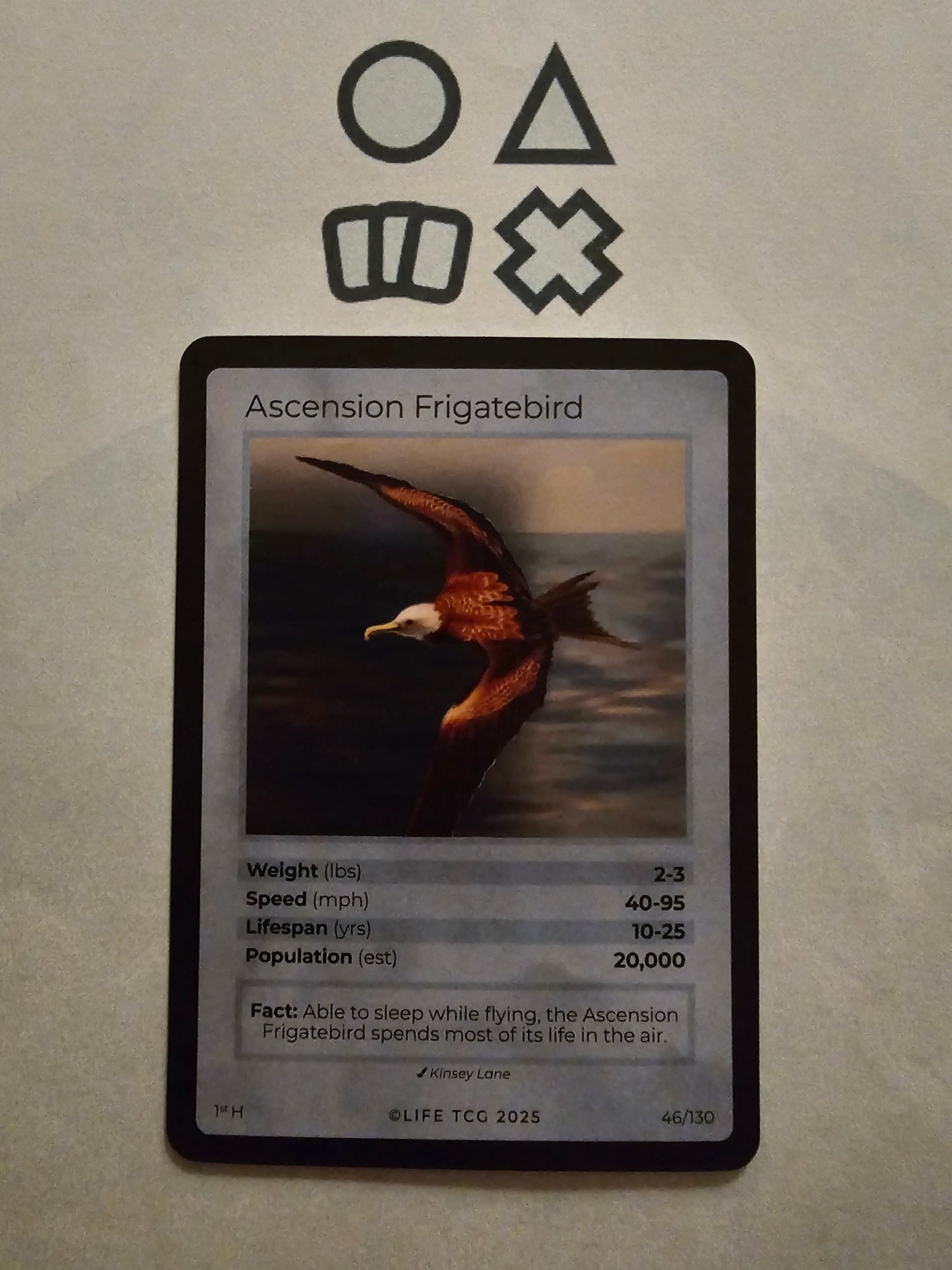 Life TCG Ascension Frigatebird Holo  - NM (46 Birds - POP 20.000)