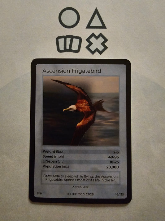 Life TCG Ascension Frigatebird Holo  - NM (46 Birds - POP 20.000)