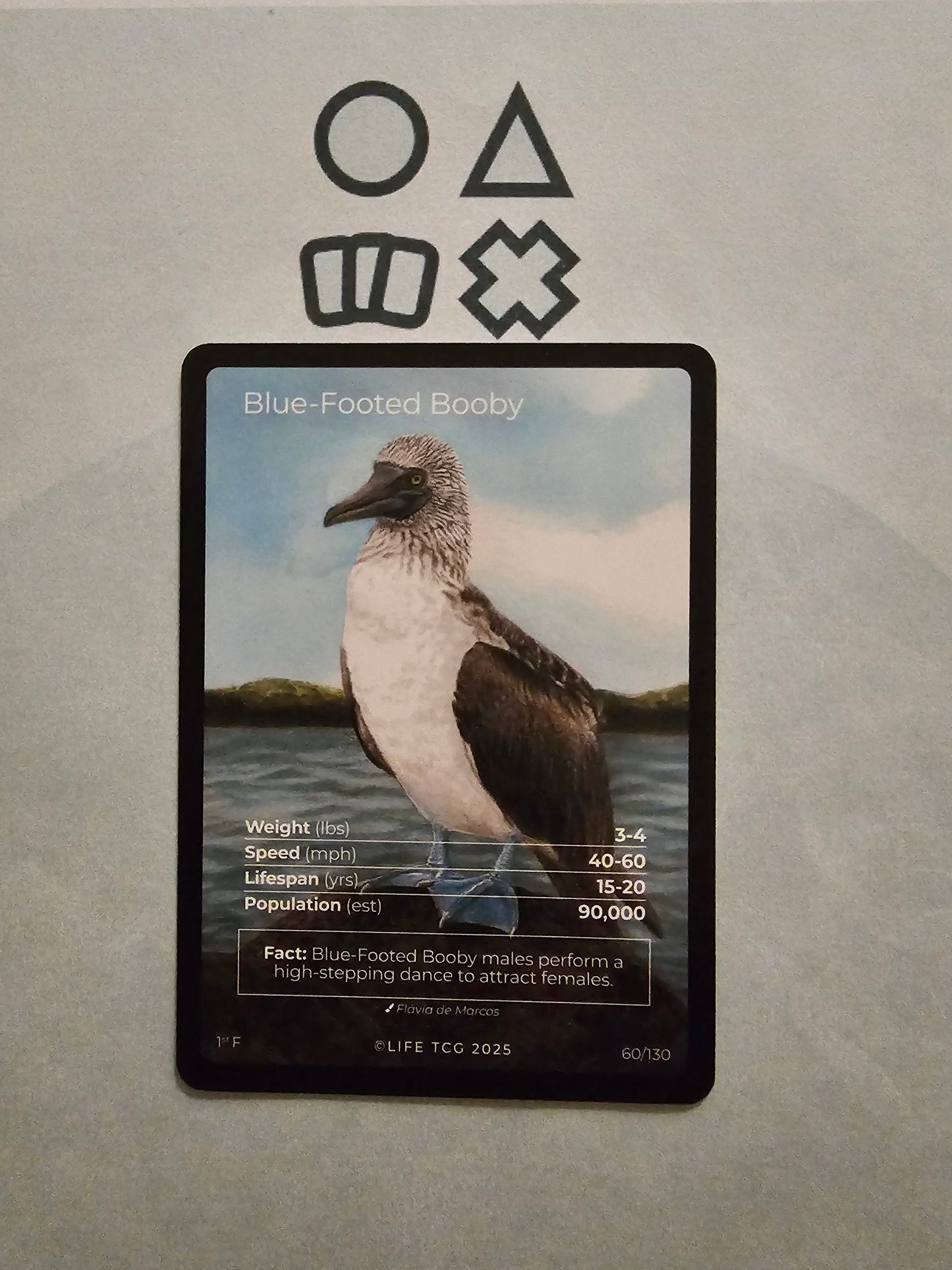 Life TCG Blue-Footed Booby Full Art - NM (60 Birds - POP 90.000)