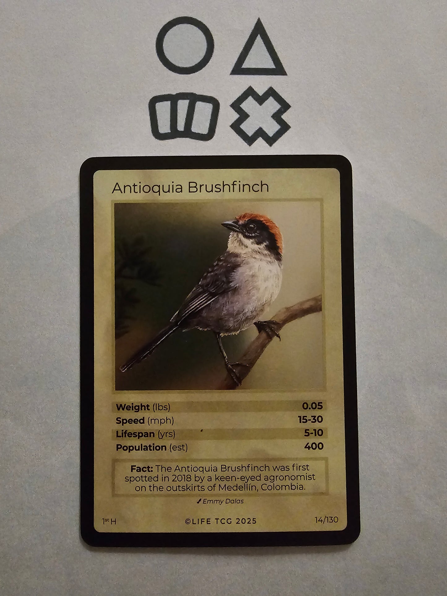 Life TCG Antioquia Brushfinch Holo  - NM (14 Birds - POP 400)