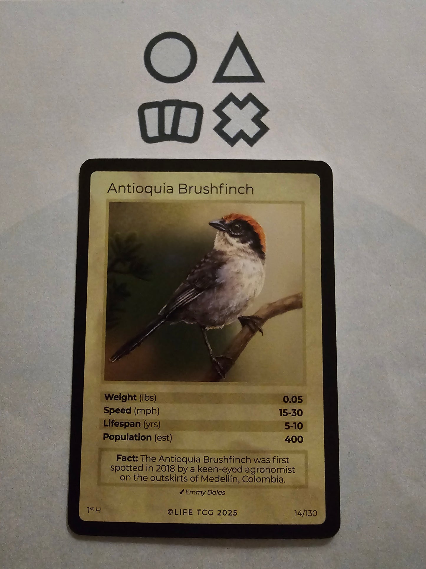 Life TCG Antioquia Brushfinch Holo  - NM (14 Birds - POP 400)
