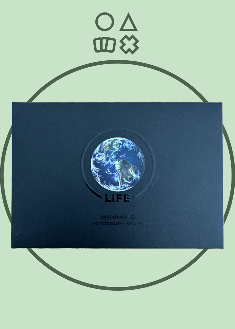 Life TCG Photography Series 1 - englisch
