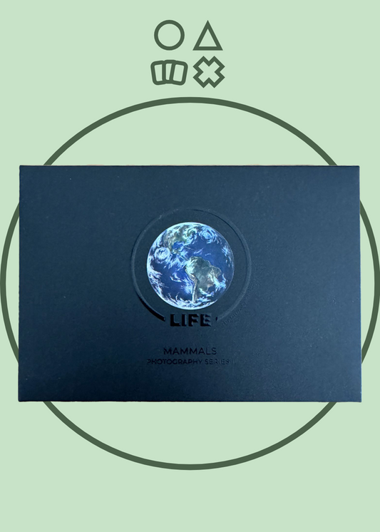 Life TCG Photography Series 1 - englisch